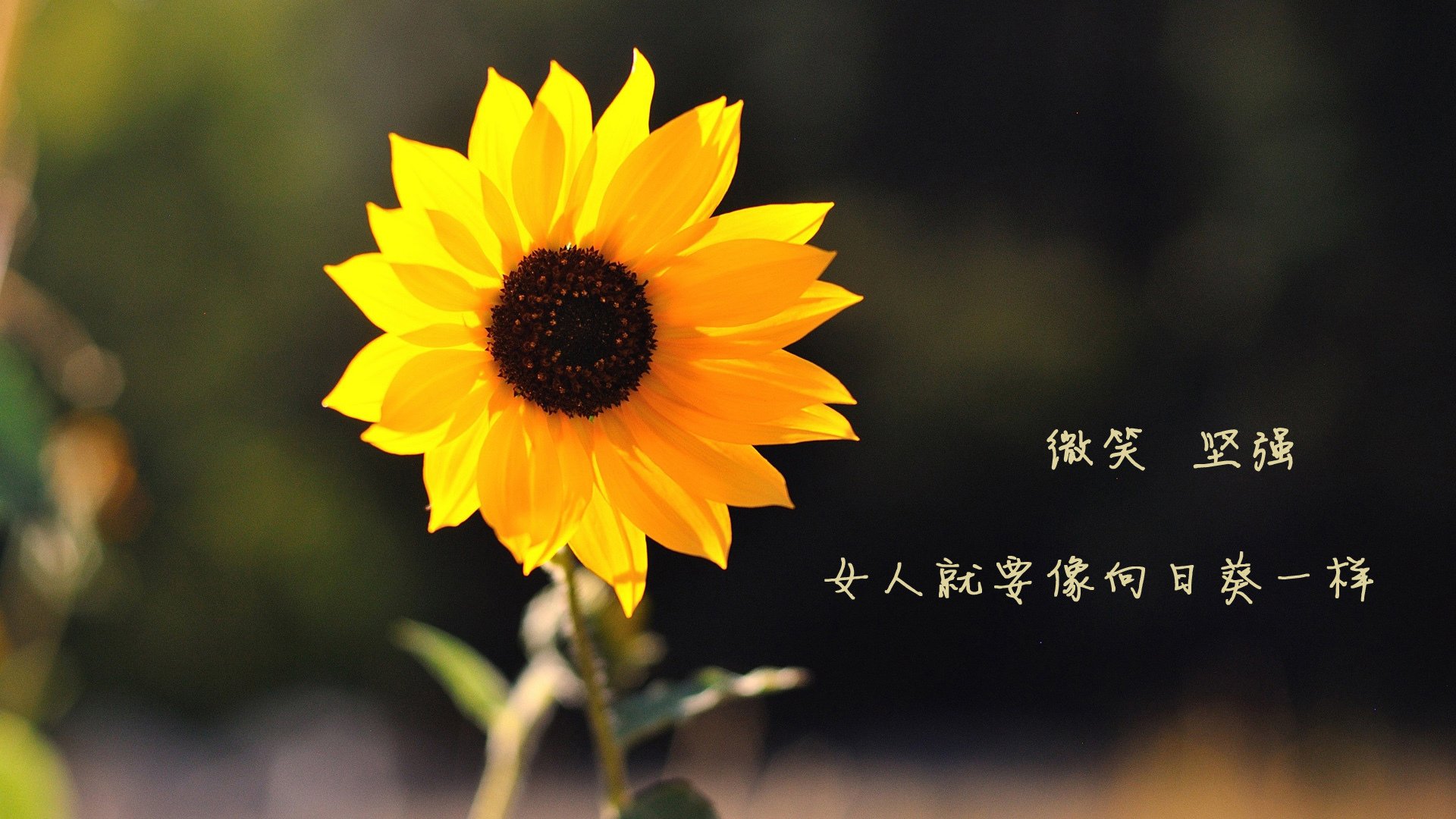 开云入口-“季后赛高潮不断，强强对决引爆整场比赛热潮”，季后赛好嗨紧张