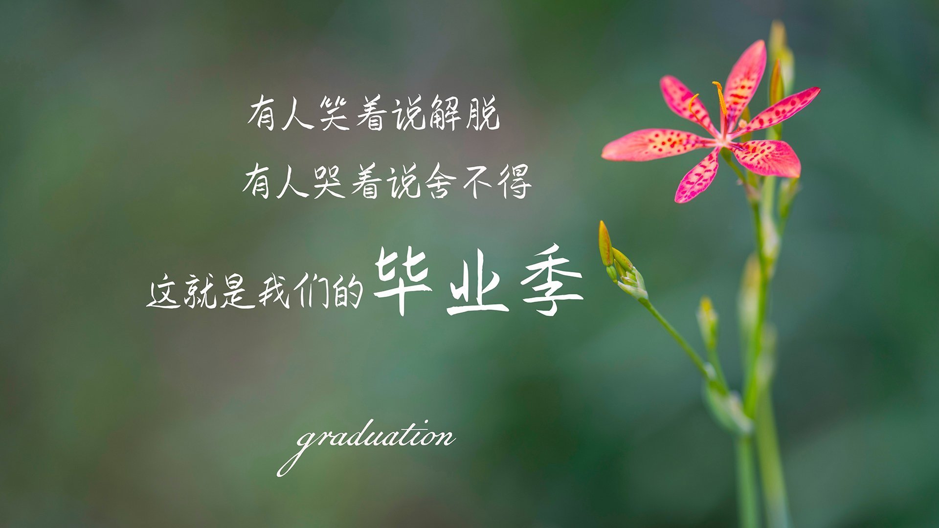 开云官网-“战术调整逆转局势：教练用脑术让比赛走向新时代”，战术头脑