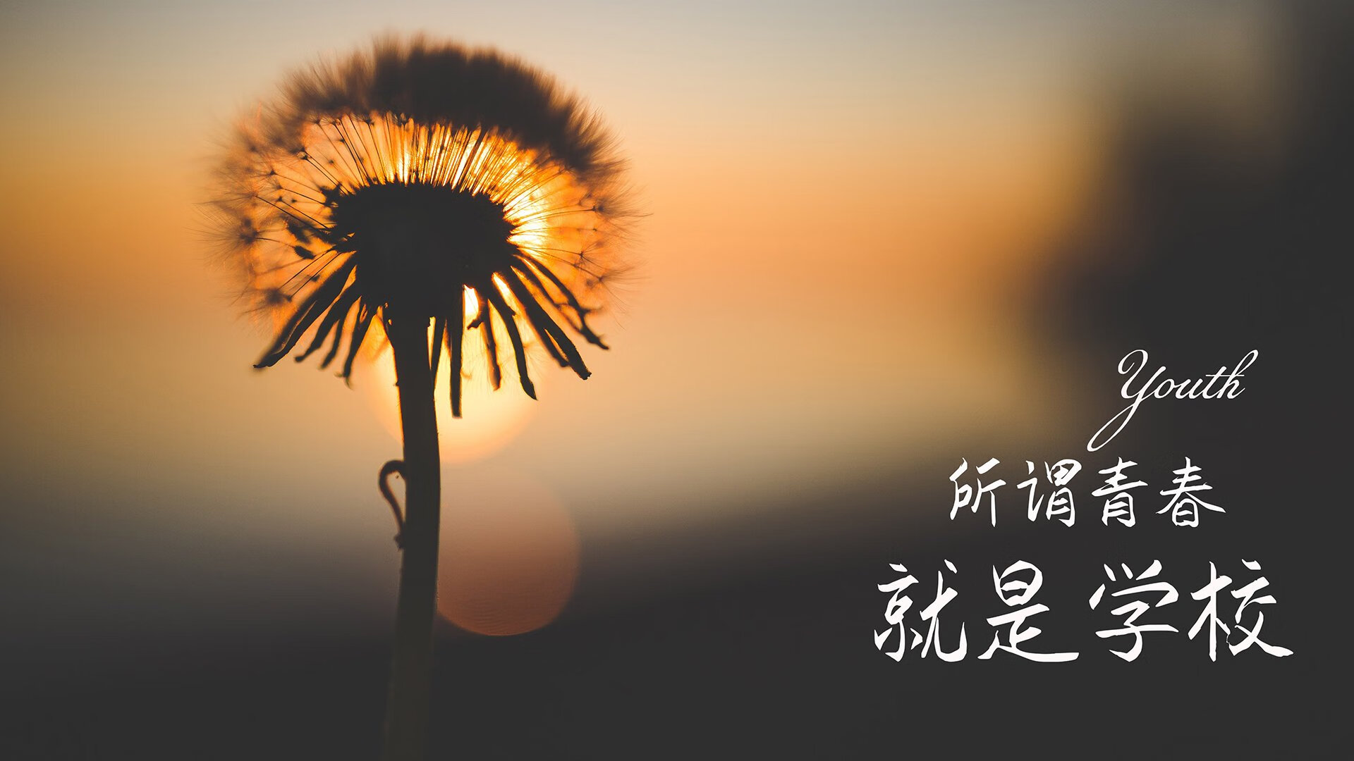 kaiyun体育综合-“青年球员表现出色，未来无限可能”，青年队是哪个球队