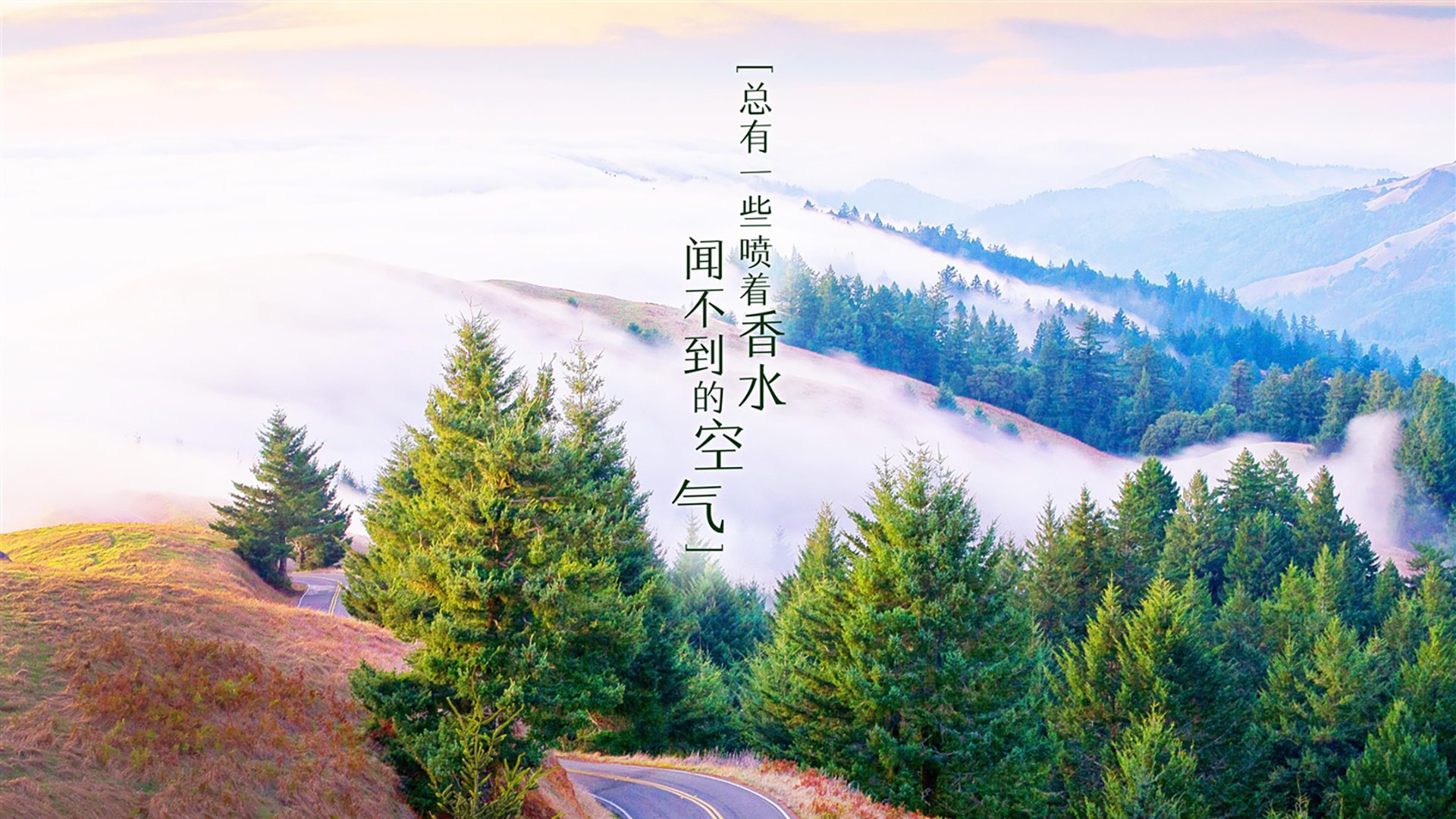 KAIYUN 中国大陆-《比赛氛围升级：灯光、音响带来极致感官体验》