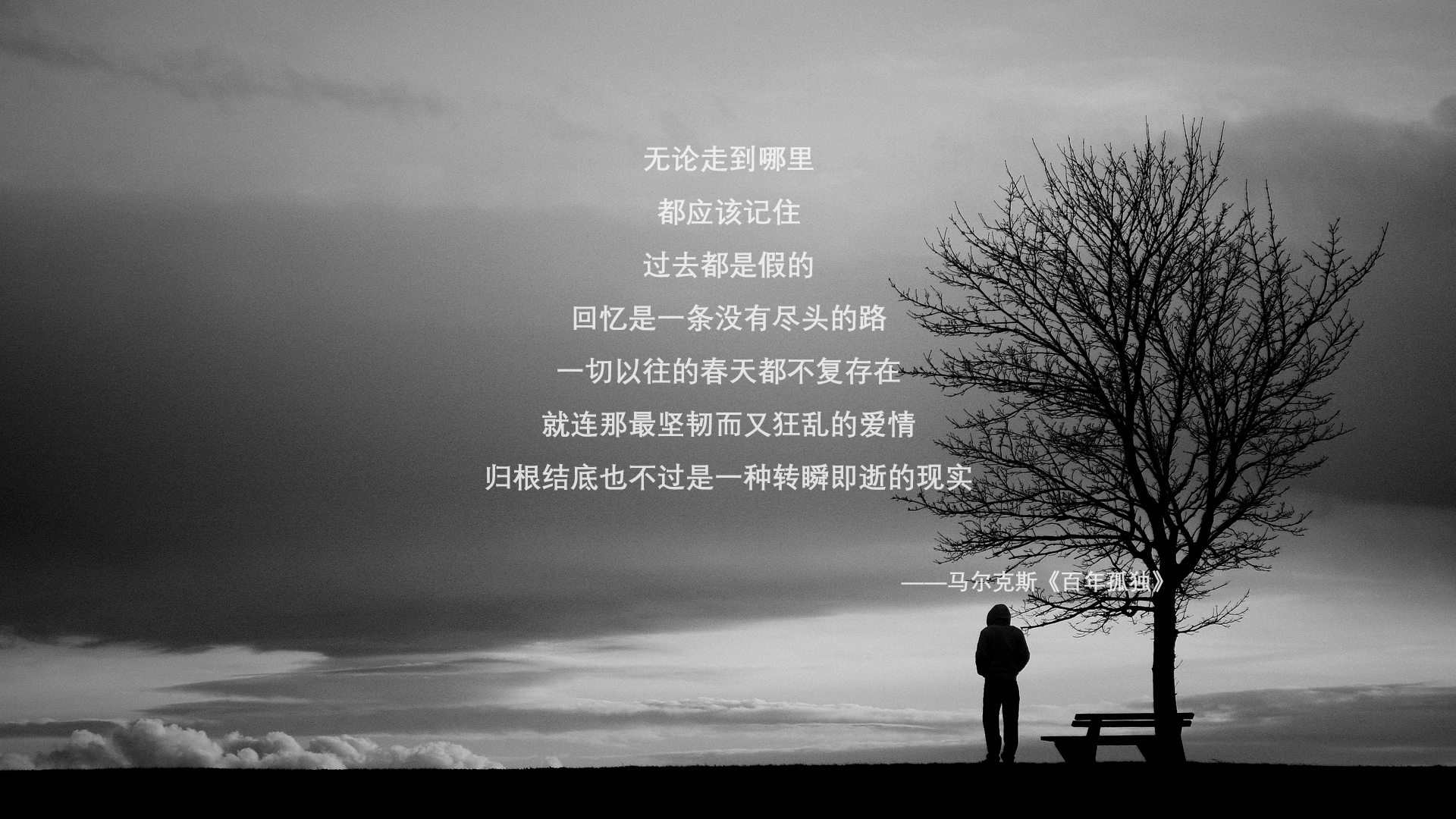 全国青训“智慧+绿色”双驱动，行业绿色低碳转型稳步推进，中国青年绿色