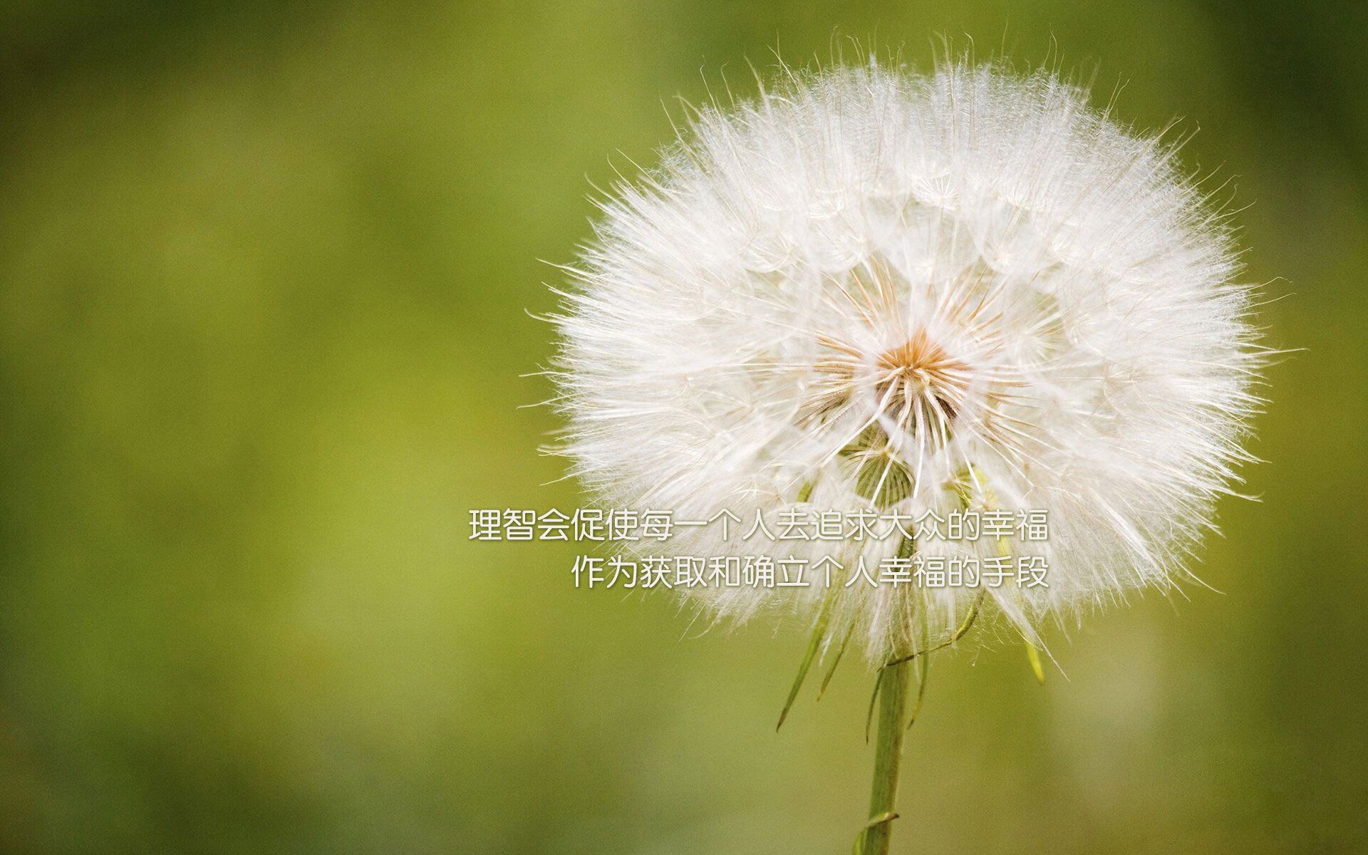 克鲁中场组织有序，铁路军团稳扎稳打，克克鲁开战了