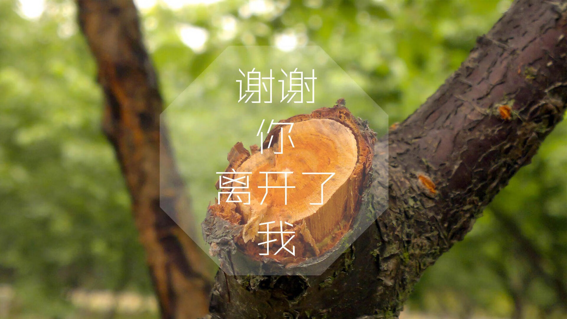 摩纳哥中场球员展现出色，或将对比赛产生重要影响，摩纳哥球队球员名单