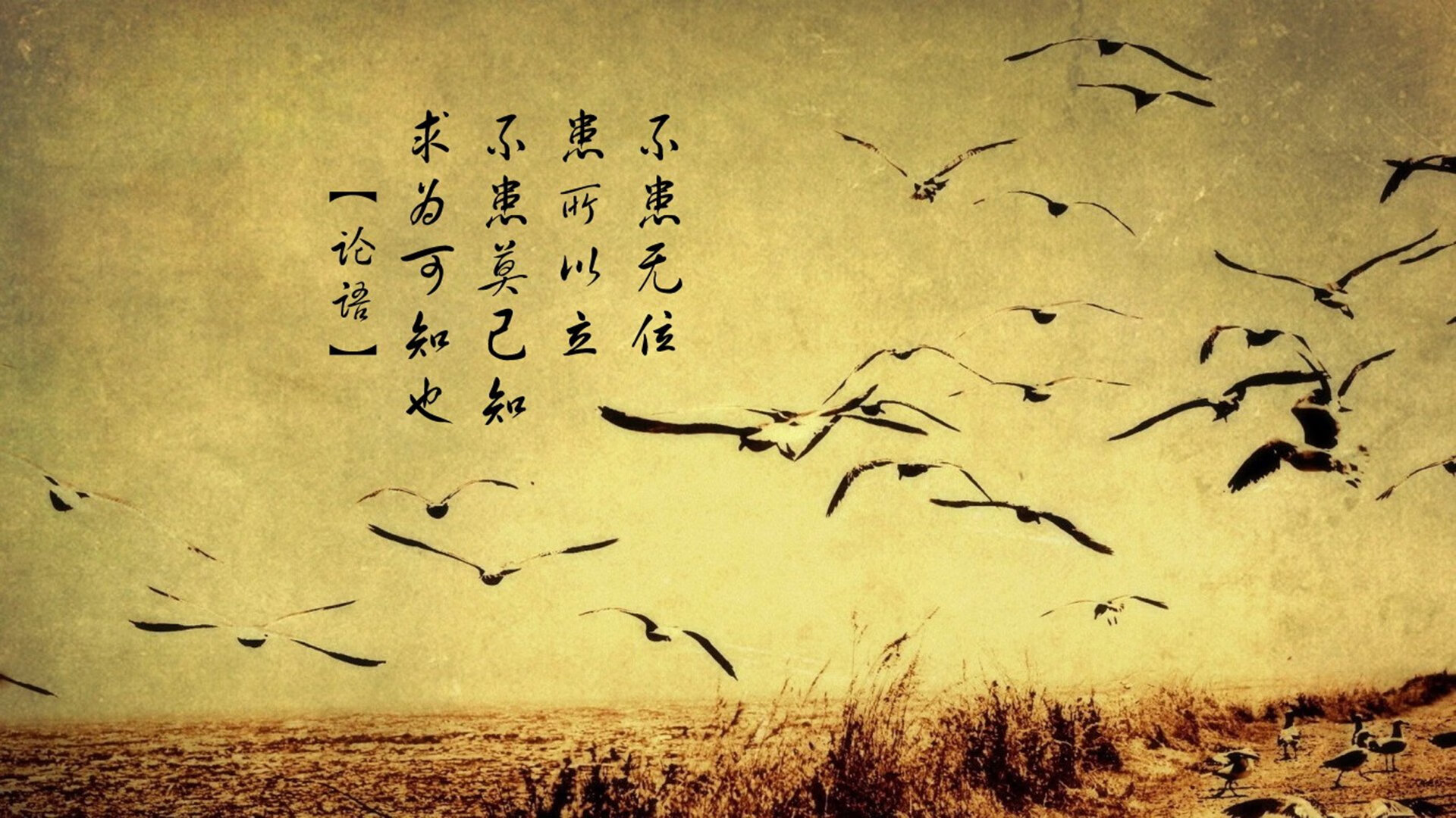 青少年体育锻炼依从性影响因素及干预策略研究，体育锻炼行为对于青少年肥胖的改善作用研究