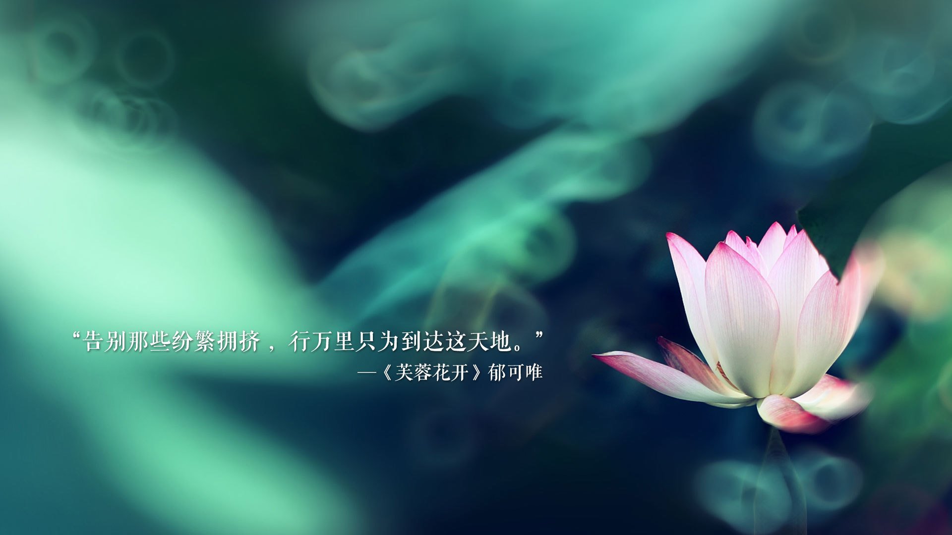 CBA年轻球员表现超预期 教练组给予高度评价，cba最年轻出场记录