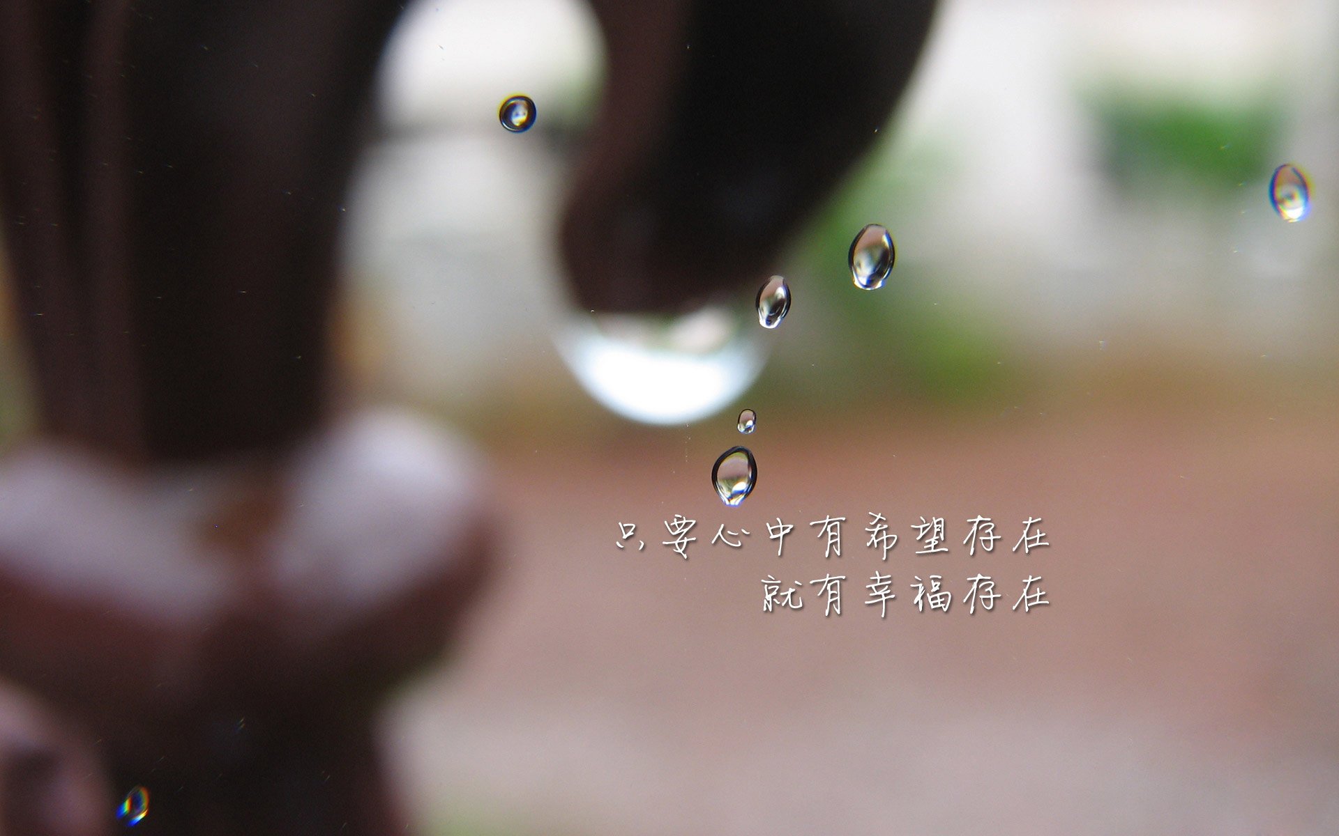 女子爱尔兰队战绩屡创新高,吸引关注,爱尔兰女子组合